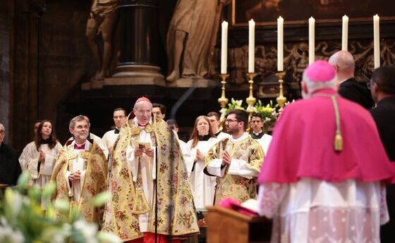 Feierliches Te Deum für Papst Leo XIV. im Wiener Stephansdom
