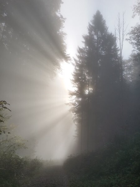 Licht durchbricht die Ausweglosigkeit