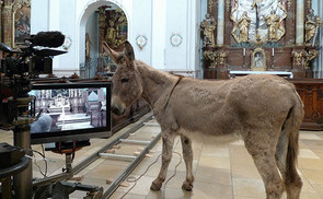 Ursulinenkirche: Memento Mori - Kunst in der Fastenzeit